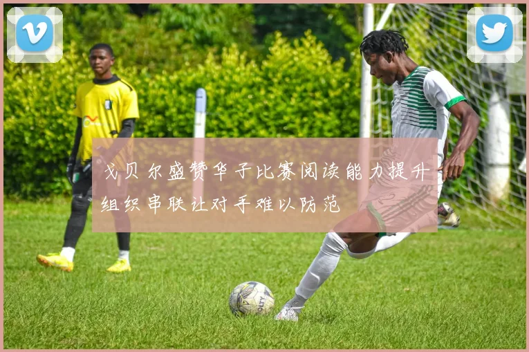 戈贝尔盛赞华子比赛阅读能力提升组织串联让对手难以防范